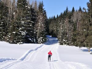 Le centre Castor - classic cross-country ski tracking