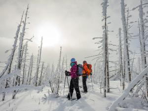 Katabatik - Initiation au ski de randonnée au Parc national des Grands-Jardins