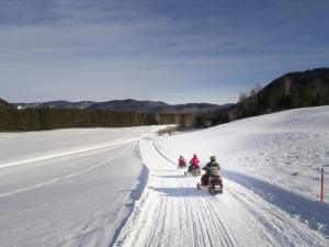 Au Chalet en Bois Rond - Snowmobile ride
