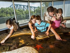 A family and children participate in an interpretation activity at the Aquarium du Québec.