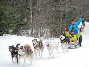 Pourvoirie du Lac-Beauport - traîneau à chiens