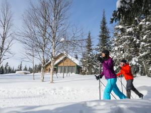 Réserve faunique des Laurentides - vue sur deux skieurs en ski de fond