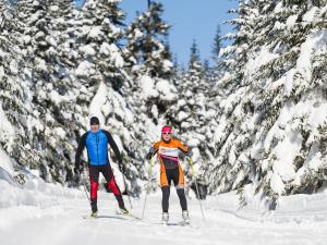 Réserve faunique des Laurentides - Couple en ski de fond