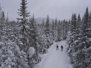 Réserve faunique des Laurentides - ski de fond