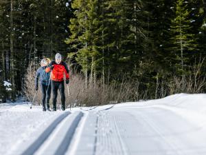 Parc MSA - Ski de fond - Photo 2