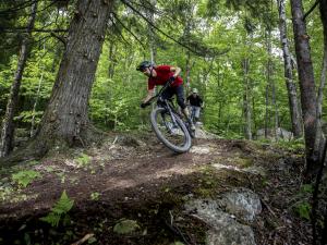 Parc MSA - Vélo XC - Photo 1