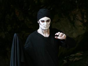 Guided Walking Tours and Theme Tours