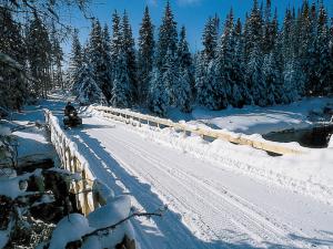 A snowmobiler in the Réserve faunique des Laurentides travels on a snowmobile trail and crosses a bridge that spans a river, in the snowy forest.
