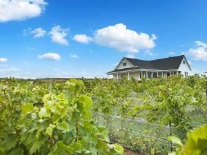 Wineries and Local Liquor Producers