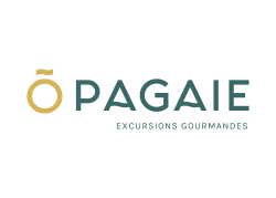 Logo - O Pagaie