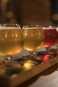 Outdoor tasting of several different beers in a microbrewery.