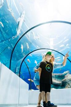 A mother and her son observe the fish in the Grand Ocean tunnel at the Aquarium du Québec.