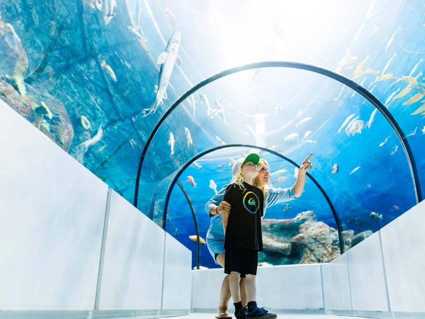 Une mère et son garçon observent les poissons dans le tunnel du Grand Océan, à l'Aquarium du Québec.