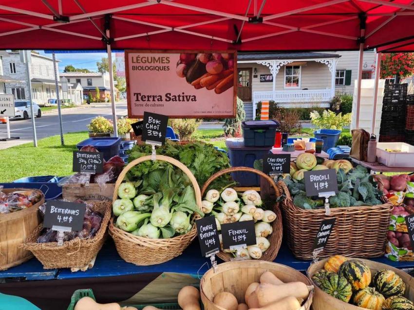 Marché Public Deschambault