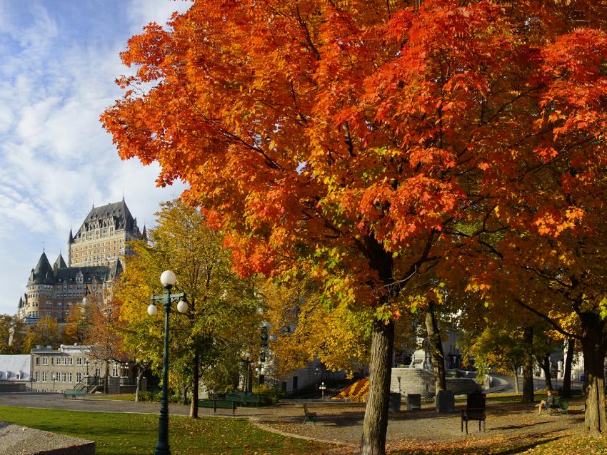 Château Frontenac en automne
