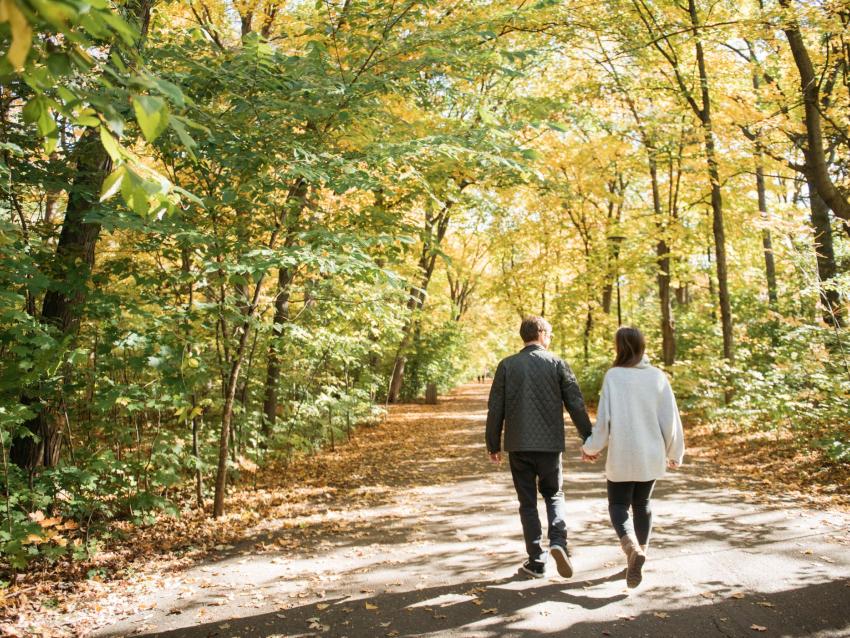 Parc du Bois-de-Coulonge en automne