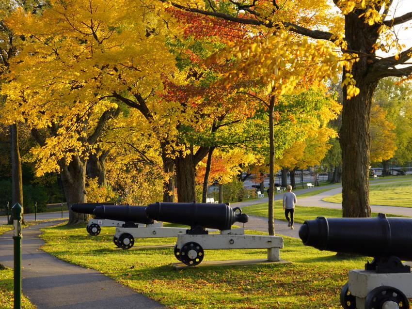 Cannons on the Plains of Abraham