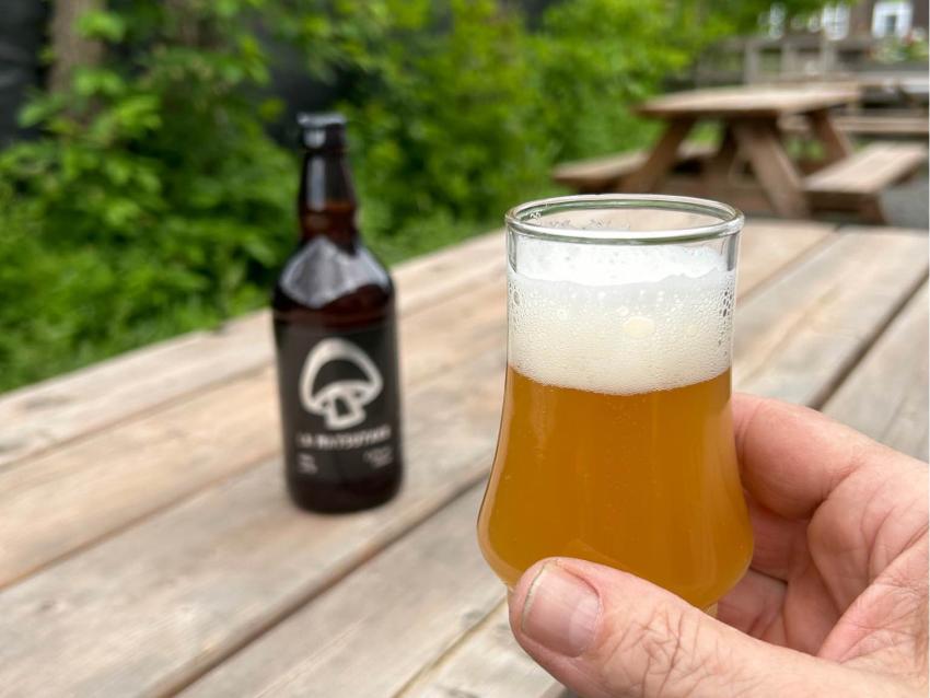 Mycobrasserie Chapeau les bois