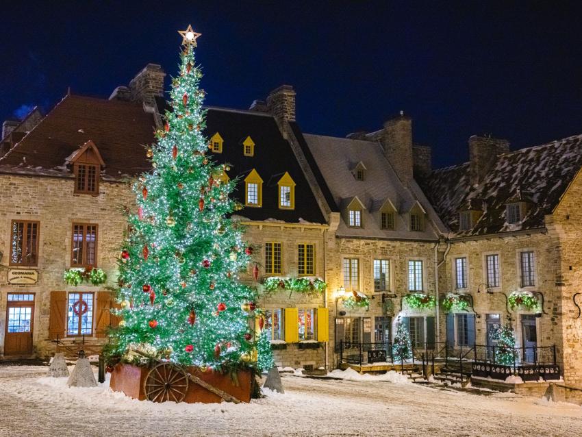 Christmas tree on Place Royale