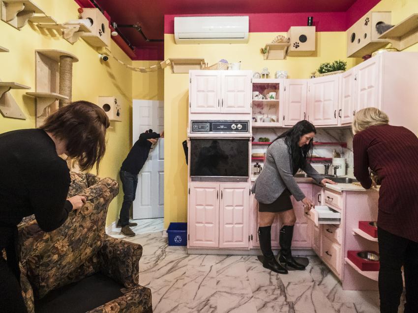 Défi-Évasion - Travail d'équipe