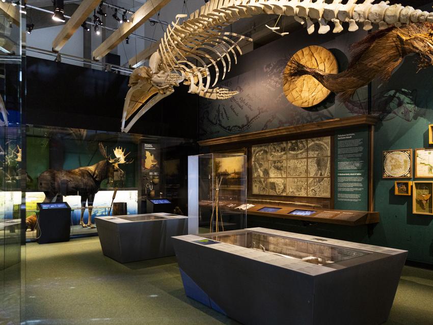 Musée de la civilisation - Exposition Le Québec, autrement dit