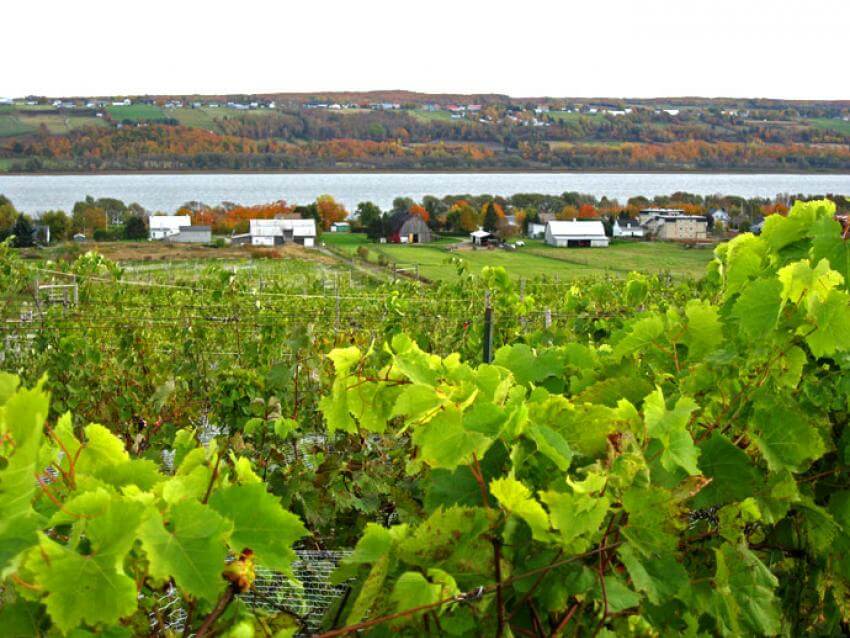 2 jours sur la route des vins à Québec Visiter Québec