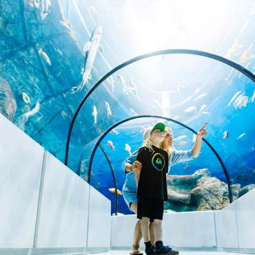 Une mère et son garçon observent les poissons dans le tunnel du Grand Océan, à l'Aquarium du Québec.