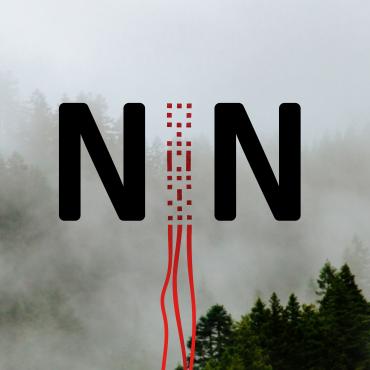 NIN