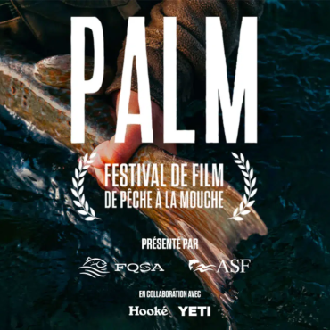 Festival PALM 2026