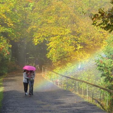 Marcheurs avec un parapluie