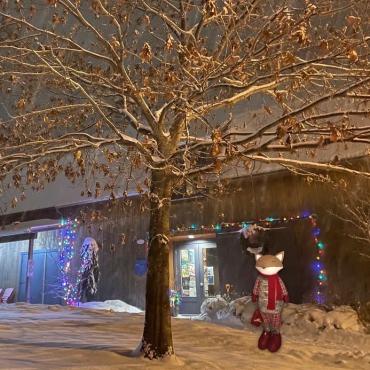 Marché de Noel de l'île d'Orléans