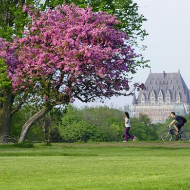 Printemps Plaines Abraham